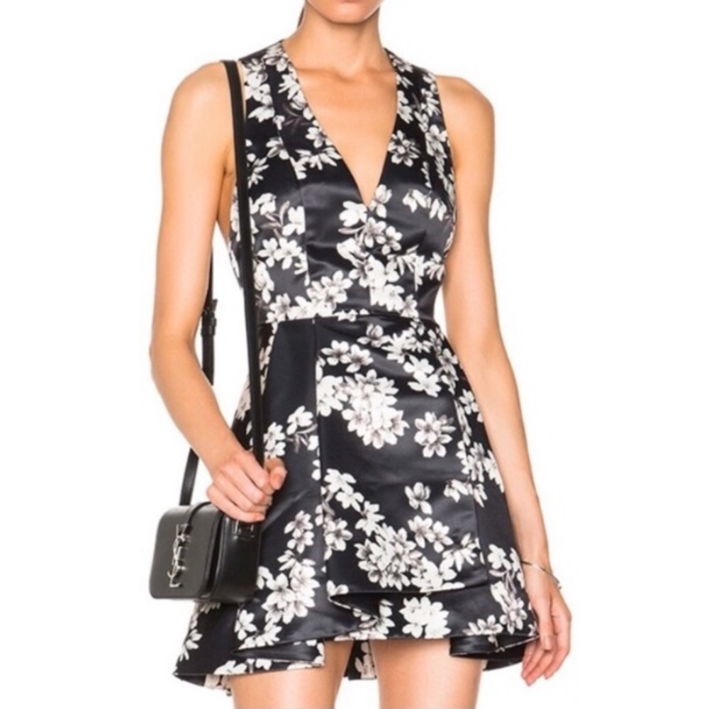 Alice and Olivia fit and flare dress